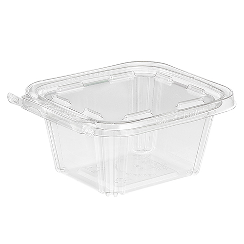 24 oz. Clear Hinged Deli Fruit Container 200/CS