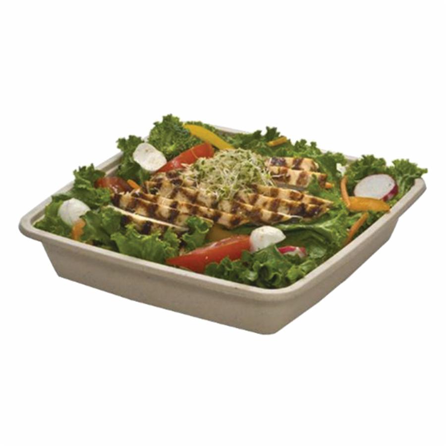 Sabert TerraPac Square Deep Pulp Container Natural, 48 oz. 49148F300N, image size:900x900